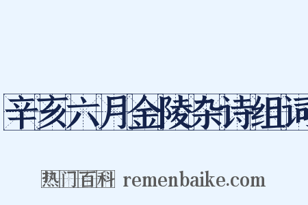 辛亥六月金陵杂诗组词是什么意思的图片
